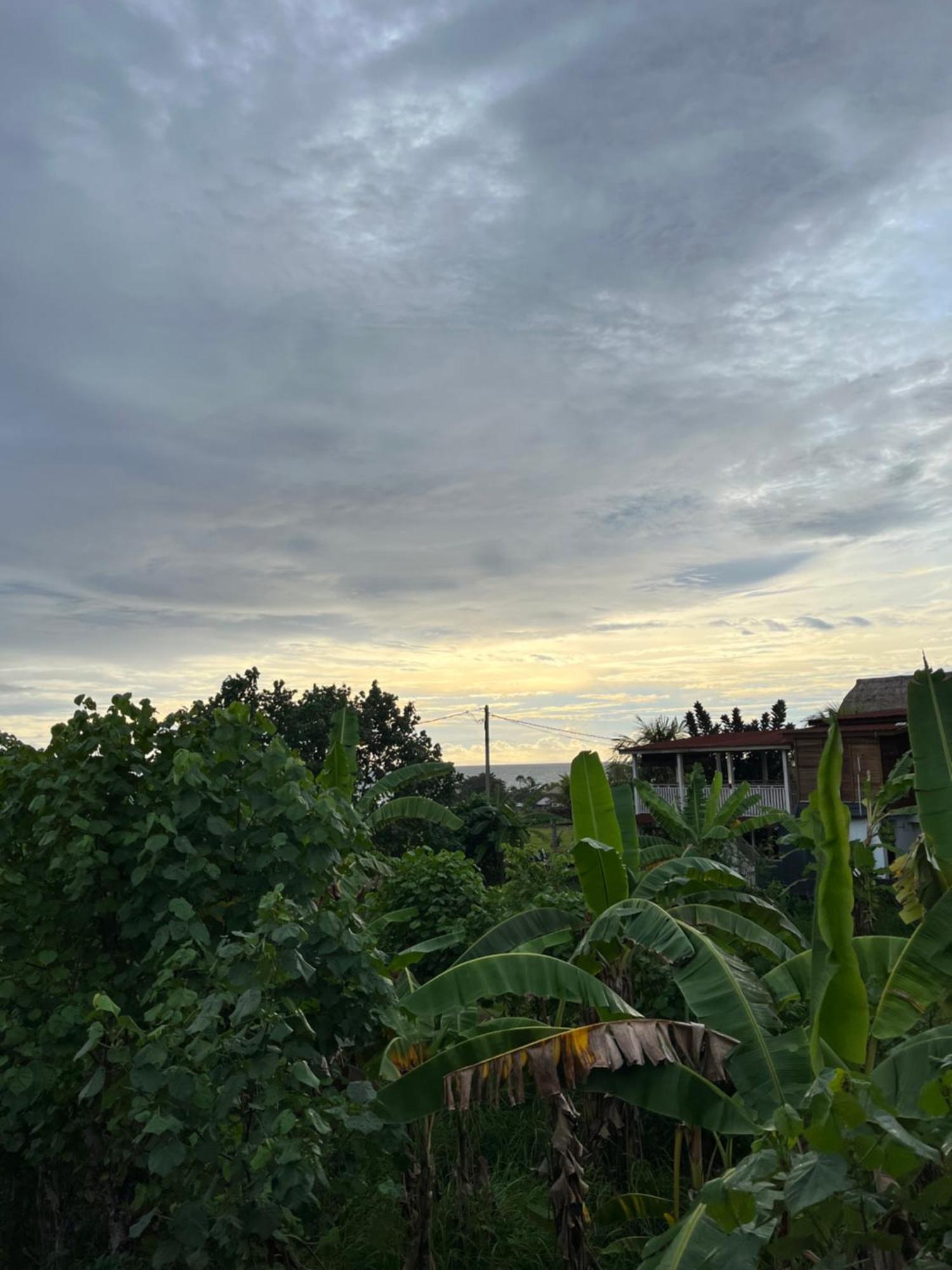 Ayolah Surf House &Surf Camp Apartment Jembrana  Exterior photo